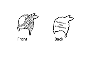 wigs_1