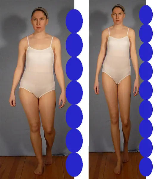 diagram showing female figure proportions using the heads method