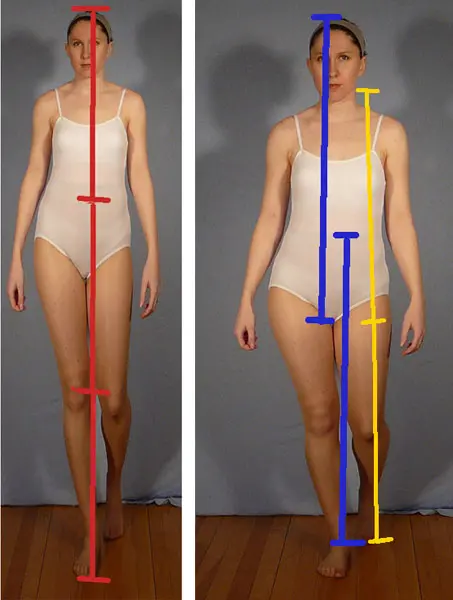 diagram showing female figure proportions using the ratios method